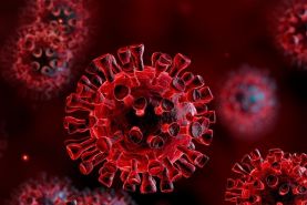 کرونا 10 برابر مرگبارتر از آنفولانزا است