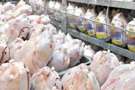 آغاز عرضه ۱۰ هزار تن مرغ منجمد در شبکه توزیع منتخب