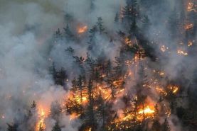 آتش‌سوزی در مناطق حفاظت شده استان فارس مهار شد