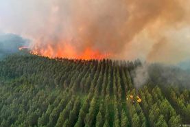 تابستان عجیب و غریب اروپا؛ سیل و آتش‌سوزی‌های شدید قاره سبز را در بر گرفته است