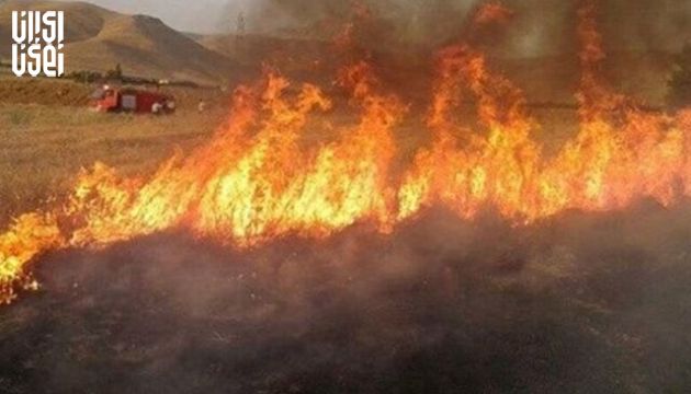 آتش‌سوزی عظیم در جنگل‌های گلستان