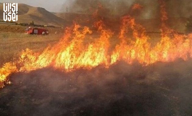 آتش‌سوزی عظیم در جنگل‌های گلستان