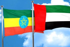 خنثی سازی طرح حمله به سفارت امارات در اتیوپی