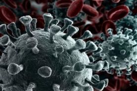 دو سناریوی اعلام شده از طرف آمریکا در رابطه با منشا ویروس کرونا