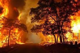 آتش ۲۵۵ هکتار از پهنه پارک ملی گلستان را سوزاند