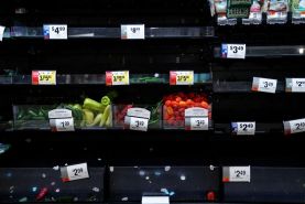 شدت گرفتن کمبود مواد غذایی در ایالات متحده با افزایش بی سابقه آمار کرونا