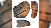 یکی از قدیمی‌ترین دی‌ان‌ای‌های جهان کشف شد
