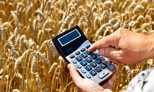 نرخ خرید تضمینی محصولات زراعی و باغی برای سال زراعی پیش رو مشخص شد